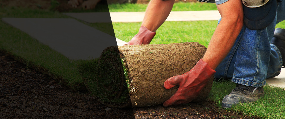 Nappanee Landscapers